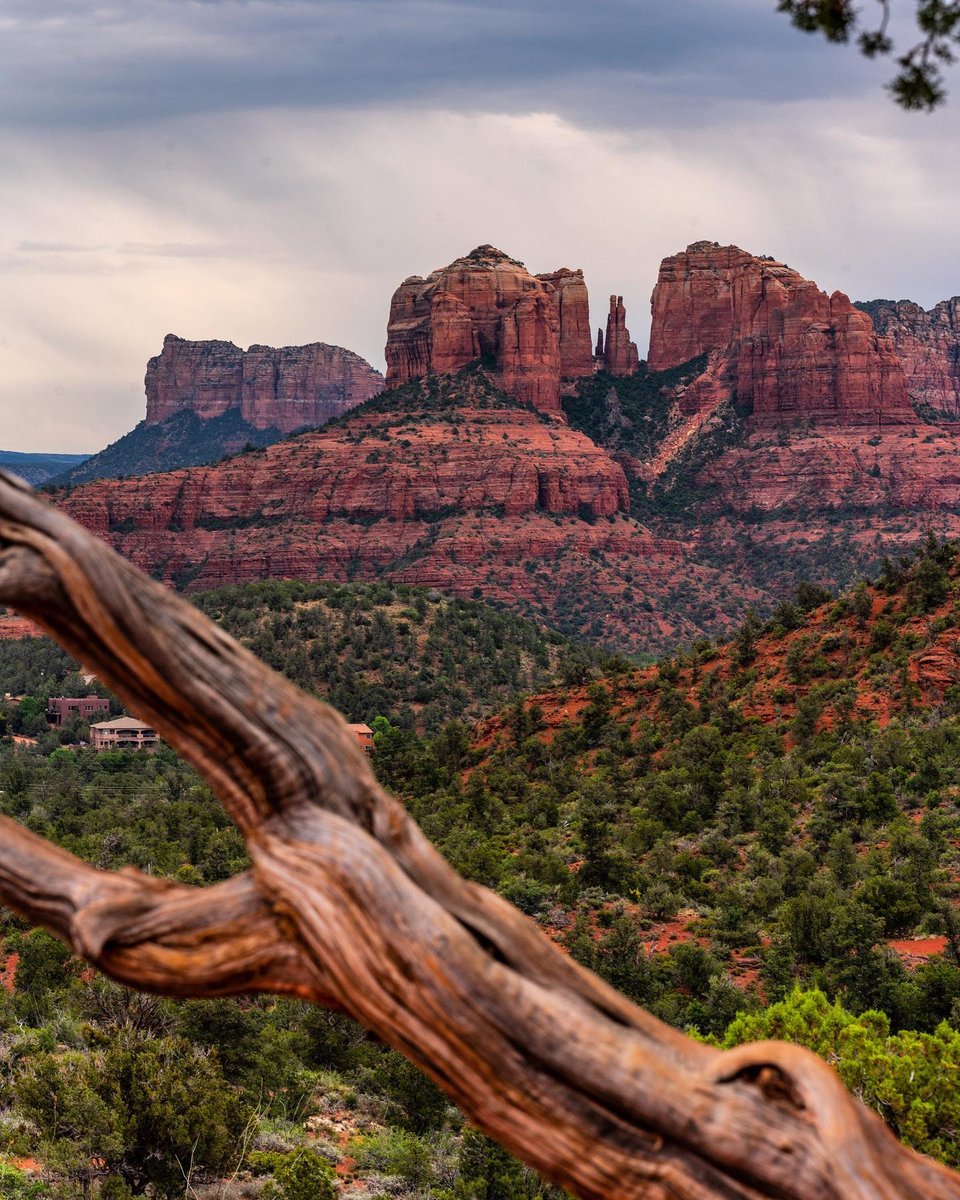 centraltucsonco's tweet photo. The beauty of Arizona never ceases to amaze us 😍 What’s your favorite view in the Grand Canyon State?

IG: brianbrusalv
#arizonaphotography #arizonalandscape #arizonaisgorgeous #arizonadesert #arizona_landscapes #arizonabeauty #arizonaadventures #arizonastyle #arizonalove https://t.co/7I8l6c87qs