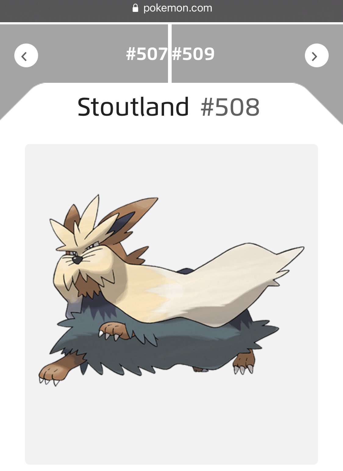 レイカ ピカチュウだいすき ポケモン英語名雑学 今日のポケモンは全国図鑑no 508 かんだいポケモンのムーランド 英語名はstoutland スタウトランド Big Hearted かんだい ポケモン Stout 恰幅の良い Land 大地 犬のテリアがterra 地球が語源で