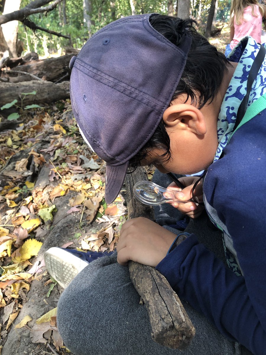 heyerlearning's tweet photo. Looking for #Details...
Drew an object just looking at it with our eyes. How does it change when we use a magnifying glass? #HoardersOfDetails #OptOutside
#AskQuestions #Curiosity #SoManyDetails https://t.co/wKJpw18qSU