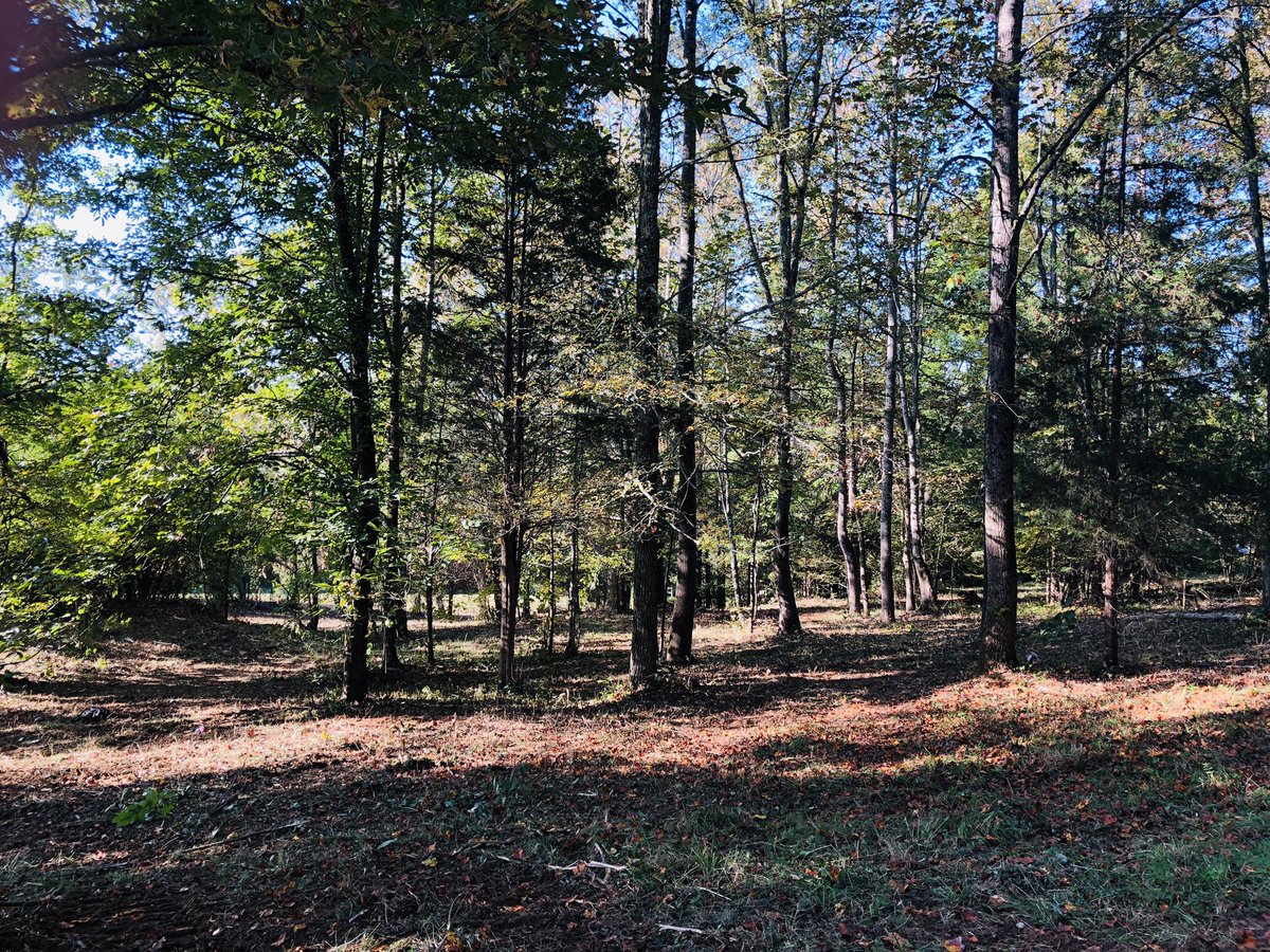 ellenggrubb's tweet photo. @HillsdaleGroup Stony Field Trail Mocksville 1.95 Acres $30,000 Come check it out.  Land has been perced. https://t.co/xa5co9PyG1