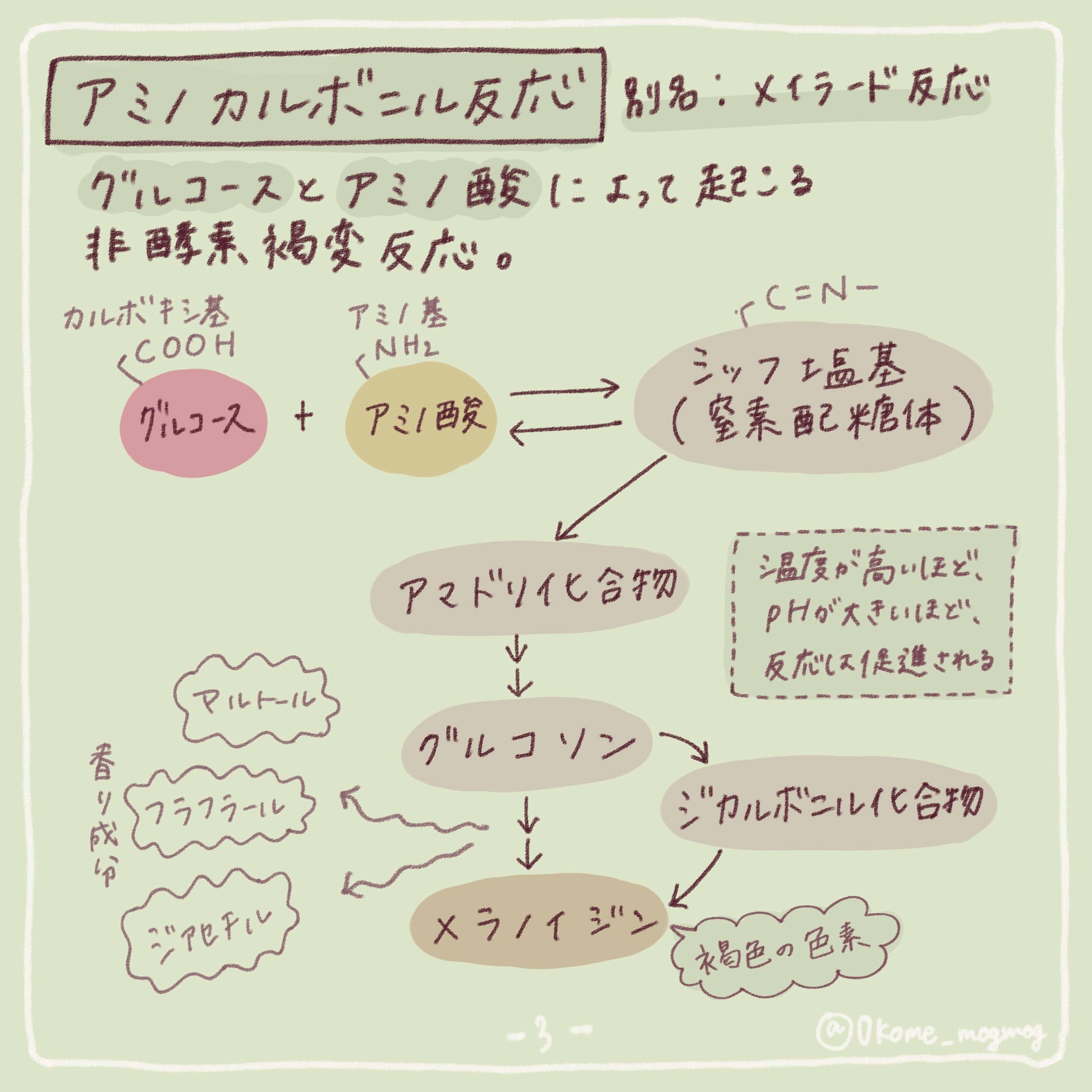 管理栄養士のたまご On Twitter 食べ物のはなし パンの焼き色とコーヒーの香りって どうしてあんなに心が躍るんだろう その アミノカルボニル反応のこと