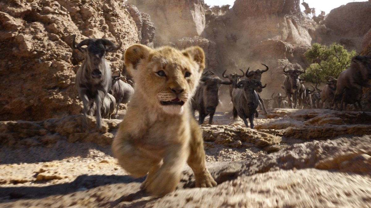 The 2019 version shits on everything in that scene, from an inferior rendition of the iconic soundtrack to young Simba's animated butthole (yes that's really in there). Intensity and raw emotion are sucked out due to it being laughable, poorly acted and lethargic in comparison.