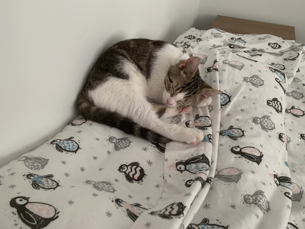 Shulan Xiao tweet media