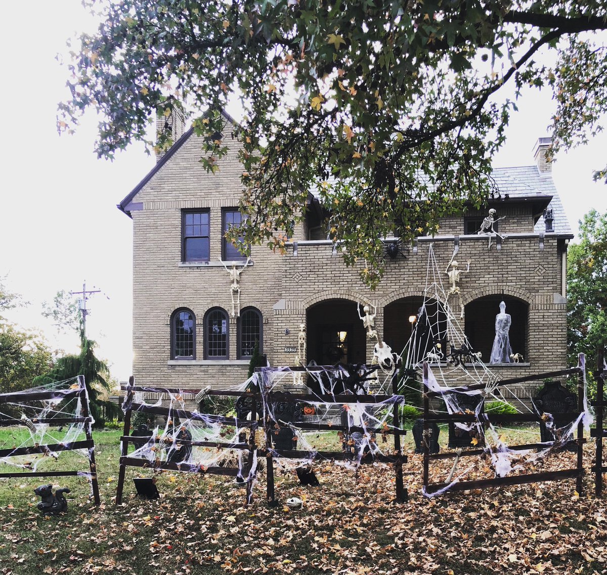 SarahJane_Chase's tweet image. Now we’re talking, y’all.