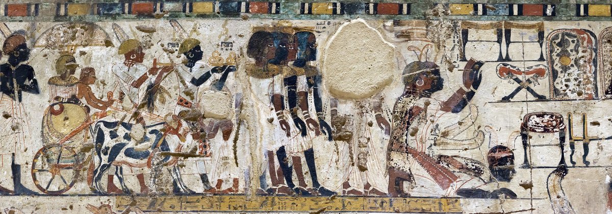 Another pic that afrocentrists love to spam online: The tomb of Amenhotep Huy The arrival of NUBIAN tribute at Thebes.Nubians, as always, getting confused for Egyptians.