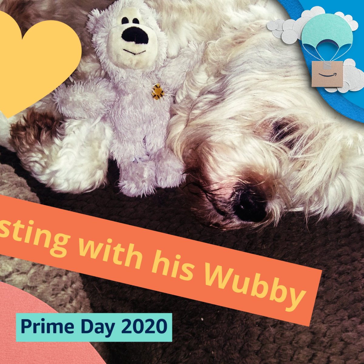 luckydogdad's tweet photo. #PrimeDayPhotos #Charlie
#PrimeDay2020
@amazonphotos #Sweepstakes

Order my Bubby his Wubbies. https://t.co/sLHtwbCtLP