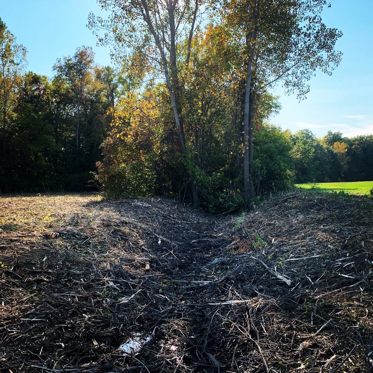 CraigRoth16's tweet photo. Cleaning up overgrown ditches at the Huron County Airport https://t.co/WJKJ1Ct6yF