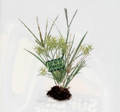 Nutsedge or Crabgrass break thru this year?  U weren't the only one rain caused many pre-emergent herbicides 2 break thru.  Try using Tower when your pre starts 2 run out get 6 more wks of prevenative Nutsedge control, Nutsedge doesnt want u to know this,Less than $70 Acre in EOP