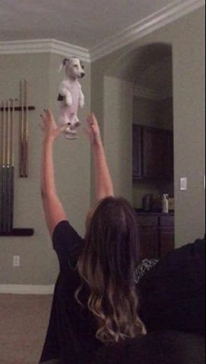 willyx__'s tweet photo. Yo cuando estoy bien y de la nada me agarra el bajón: https://t.co/hJVQTa1CTS