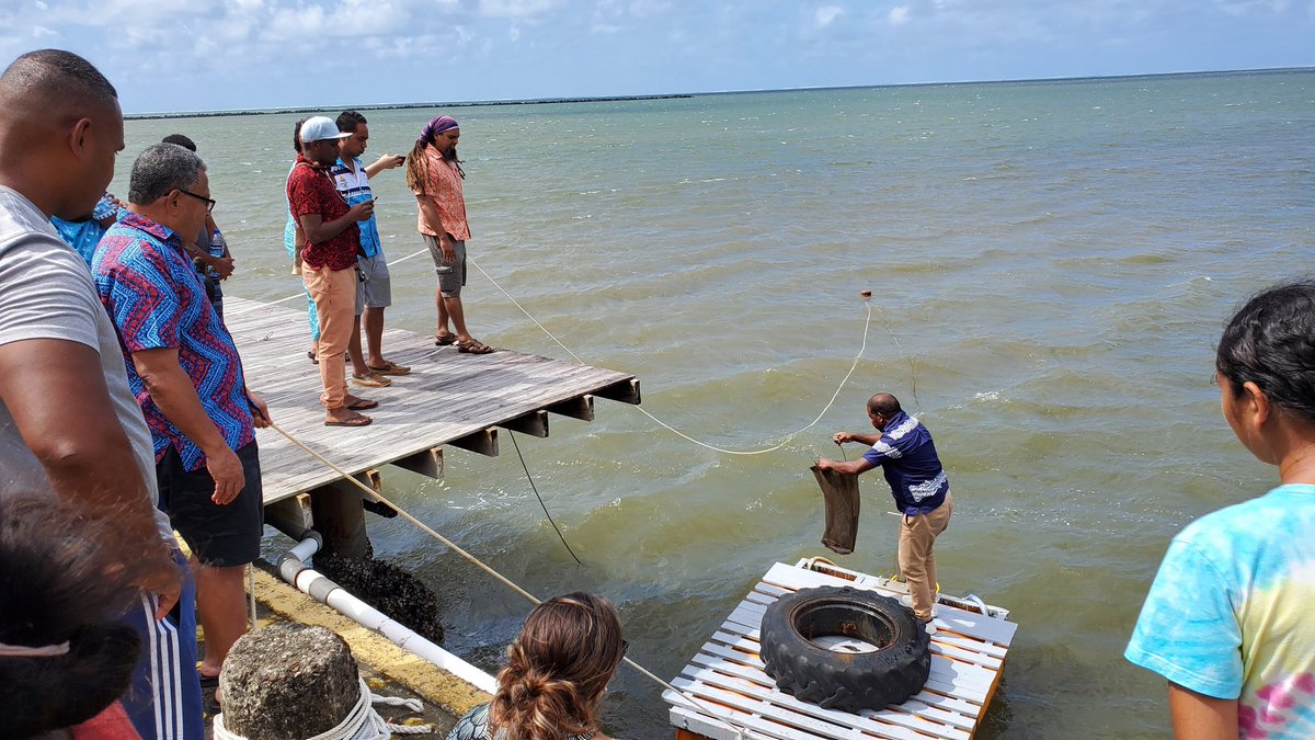 uspmarine1's tweet photo. Super proud of our postgraduate Diploma student Alex Kwaoga &amp; his @UniSouthPacific supervisory team, who are working with #SeabinDistributorOfficial #FijiSurfingAssociation &amp; #AthelesForTheEnvironment on this research project! https://t.co/88U2hfhcc9