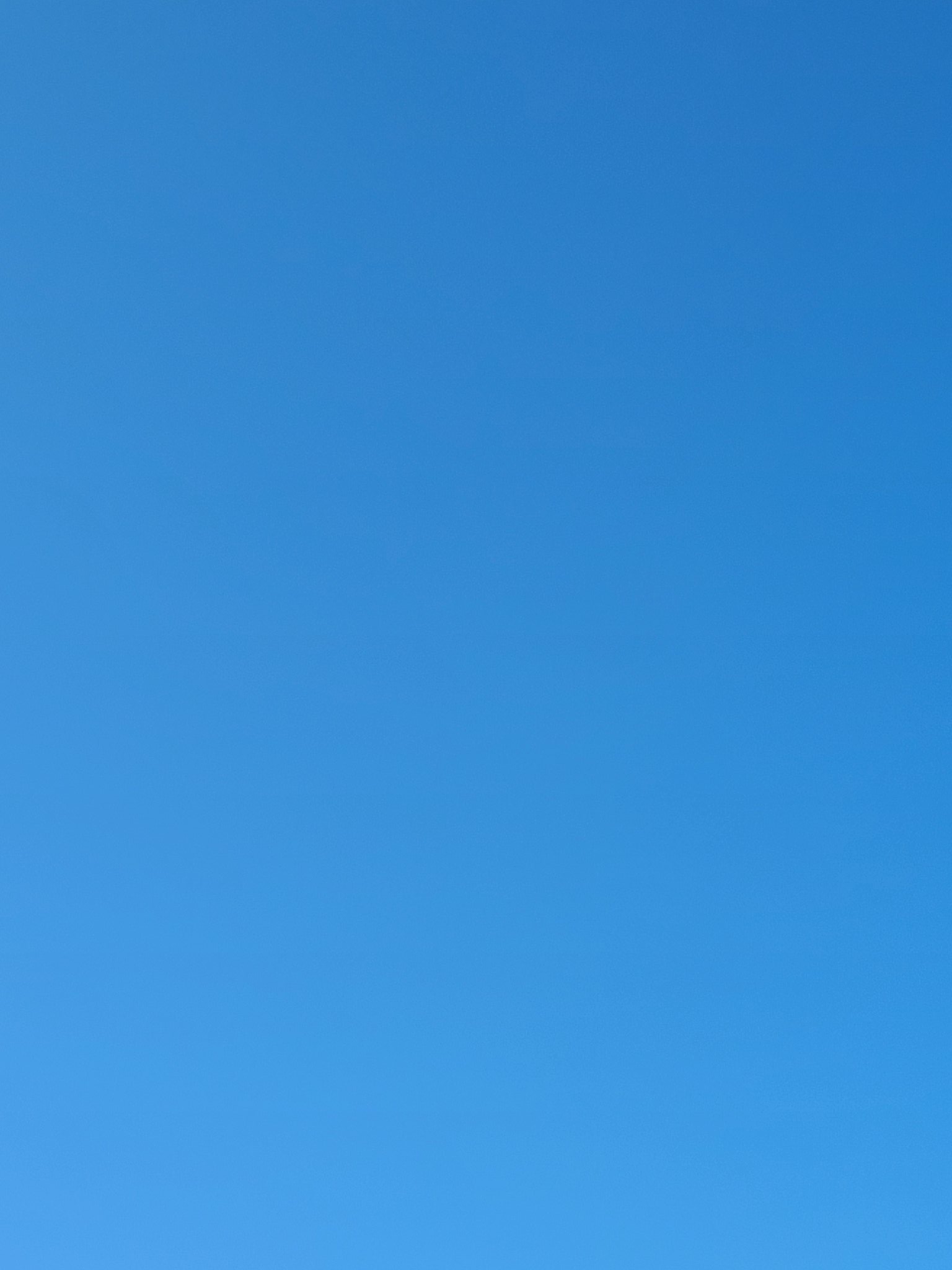 苔桃 Twitter Search Twitter