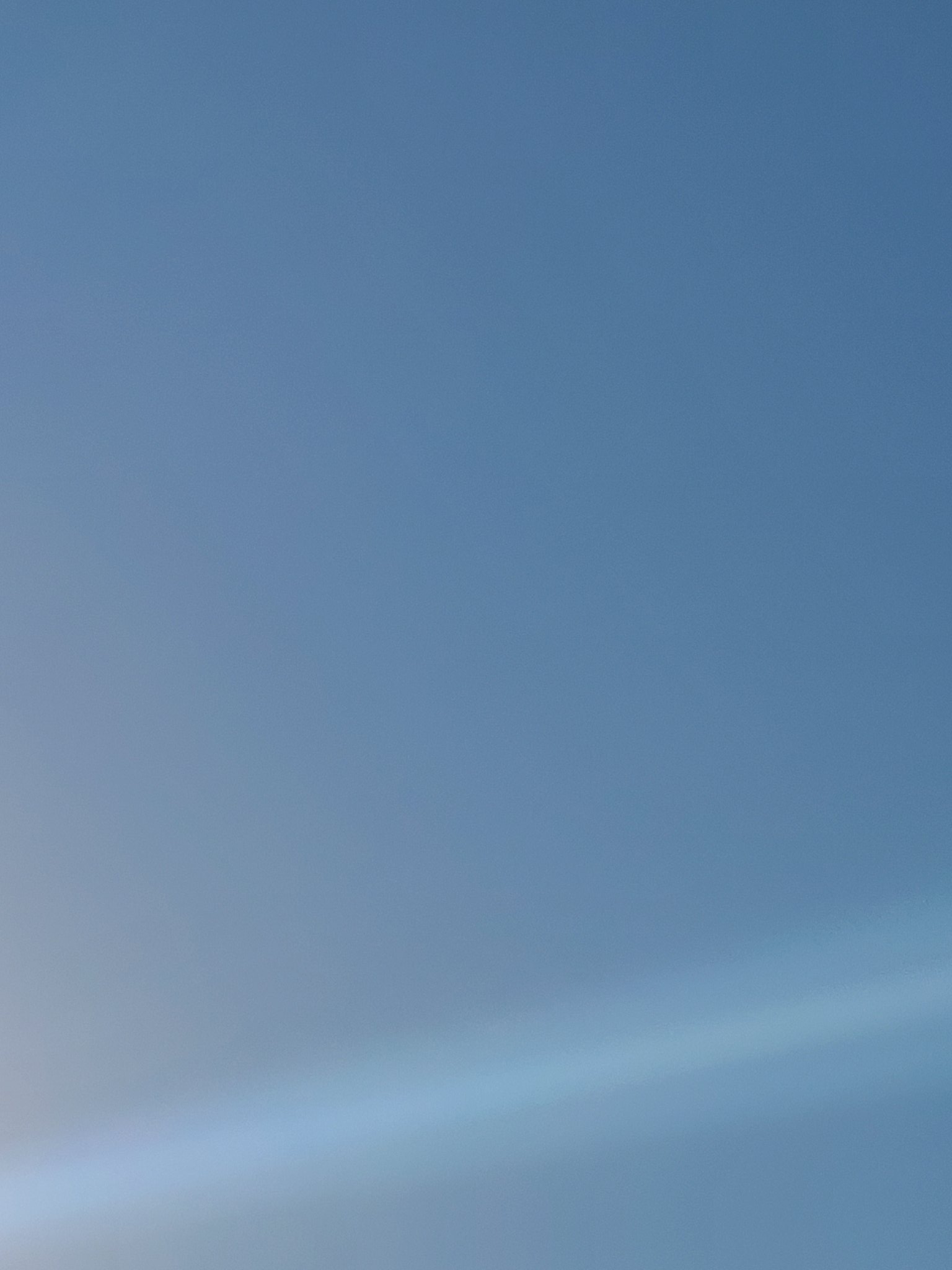 苔桃 Twitter Search Twitter