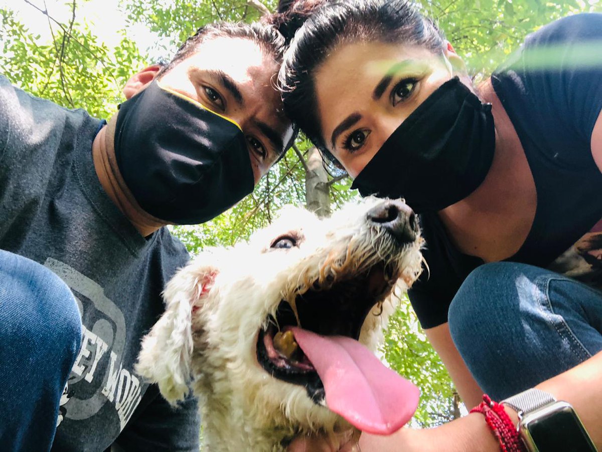 Milo ya tiene la mejor fam del mundo🥳, ellos decidieron darle una oportunidad y mostrarle que puede ser super feliz y amado♥️🙏🏻, va super bien y cada día esta mas adaptado. <a href="/DianaPau_Brions/">PAU BRIONES</a> millones de gcs a ti y tu hermosa fam por abrir las puertas de tu 🏘️ y su♥️ <a href="/perrososmx/">🅿🅴🆁🆁🅾🆂🅾🆂🅼🆇</a>