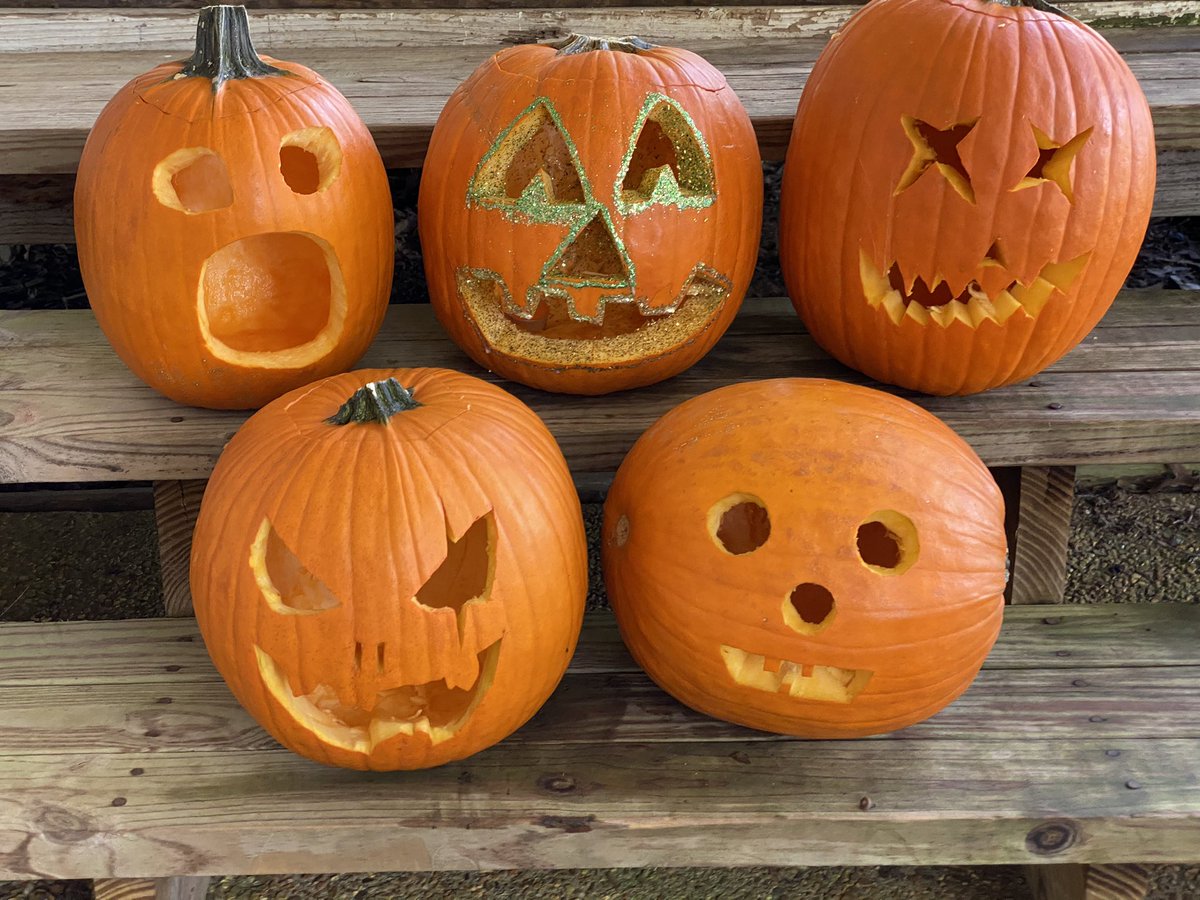 Hunter Franks tweet media