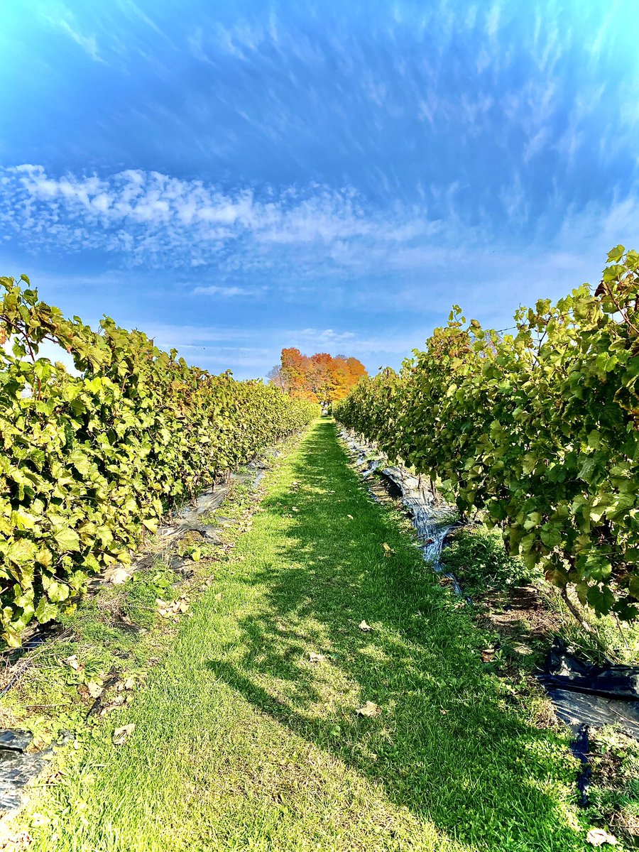 Dan Paszkowski tweet media