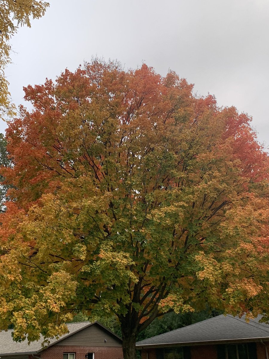 Right out my window! @JAndersonBGCS