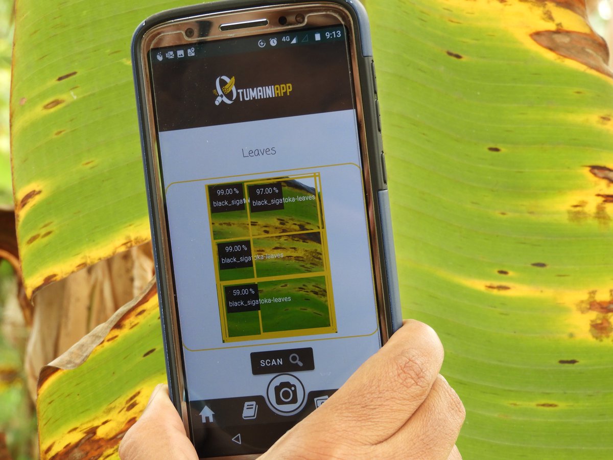 Smarter farming: using apps to diagnose crop health problems annualreport2019.rtb.cgiar.org/smarter-farmin…