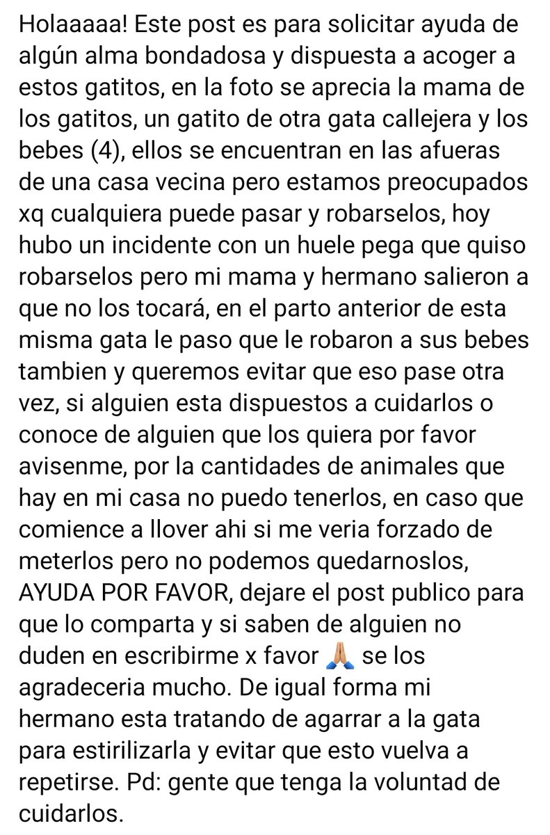 Ivan_Incer's tweet photo. AYUDA POR FAVOR, denle RT, need help en serio 🙏🏼 https://t.co/SxJpaaSPa9