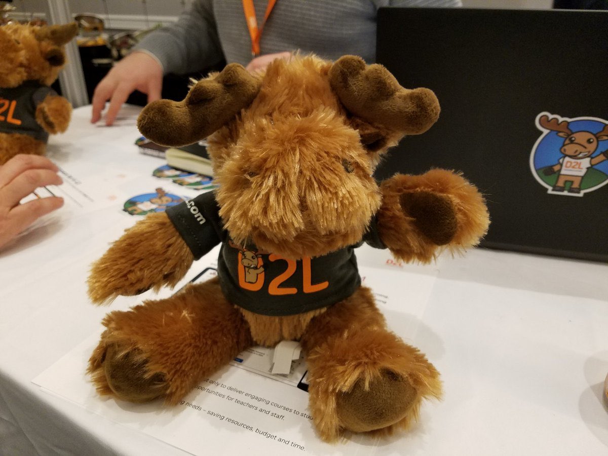 My moose buddy Tristan he has on a #AKF bandana and st pattys day pet t shirt but here’s how he looked before ( stock photos). He’s my battle buddy