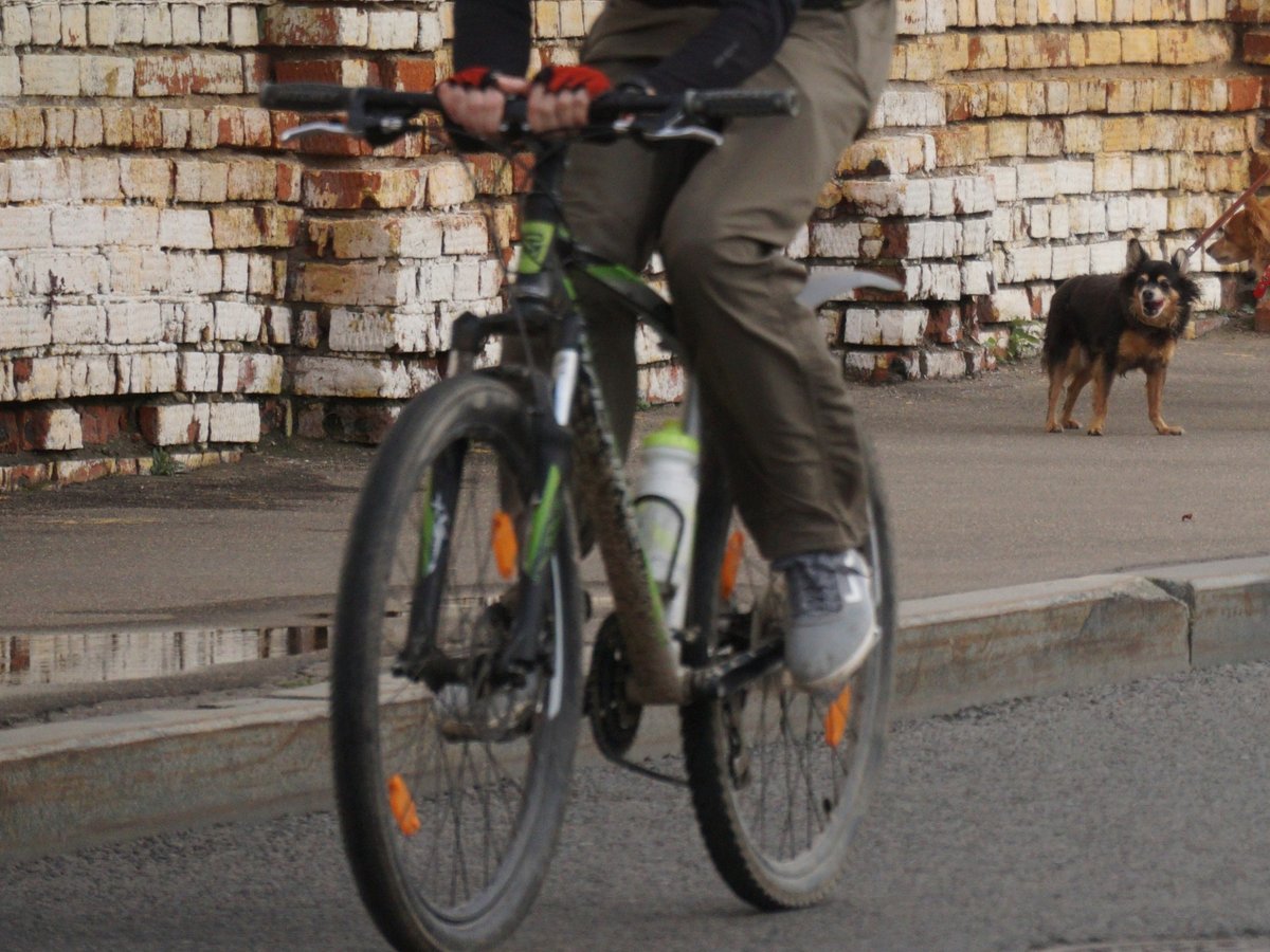 WRadioColombia's tweet photo. #Video Indignación por libertad de conductor que empujó a ciclista de un puente en Chía → 
https://t.co/UZZkWKxlvE https://t.co/MPLqsbajQC