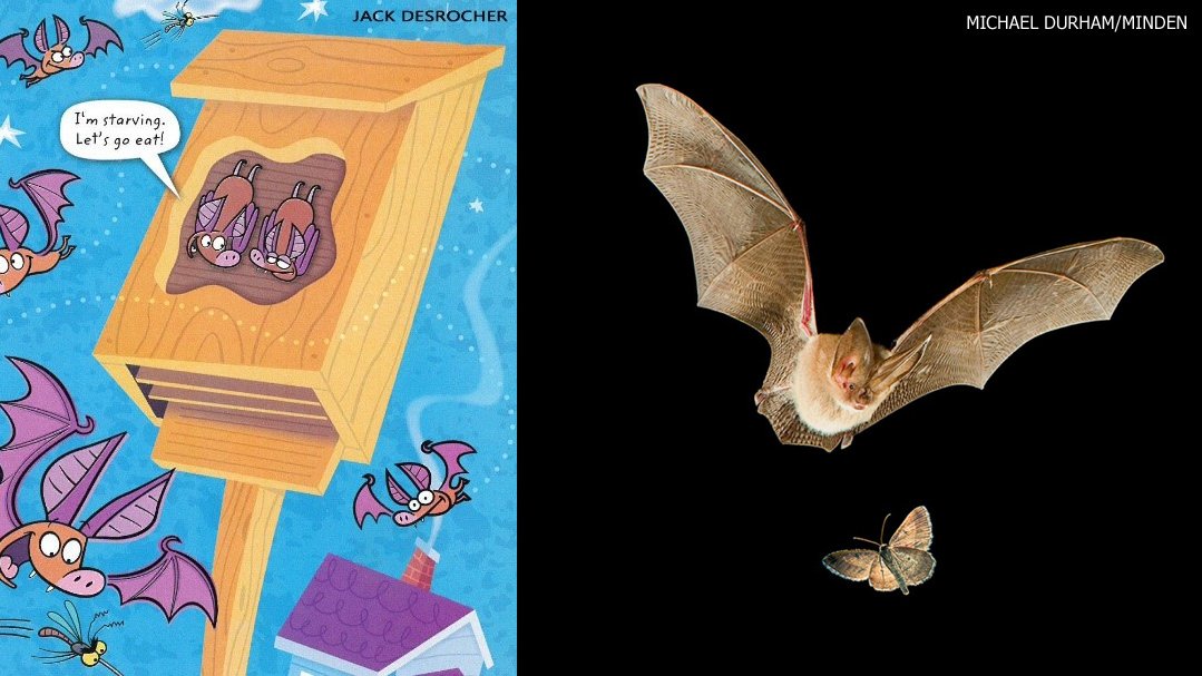 Winterkids Winterkids Twitter