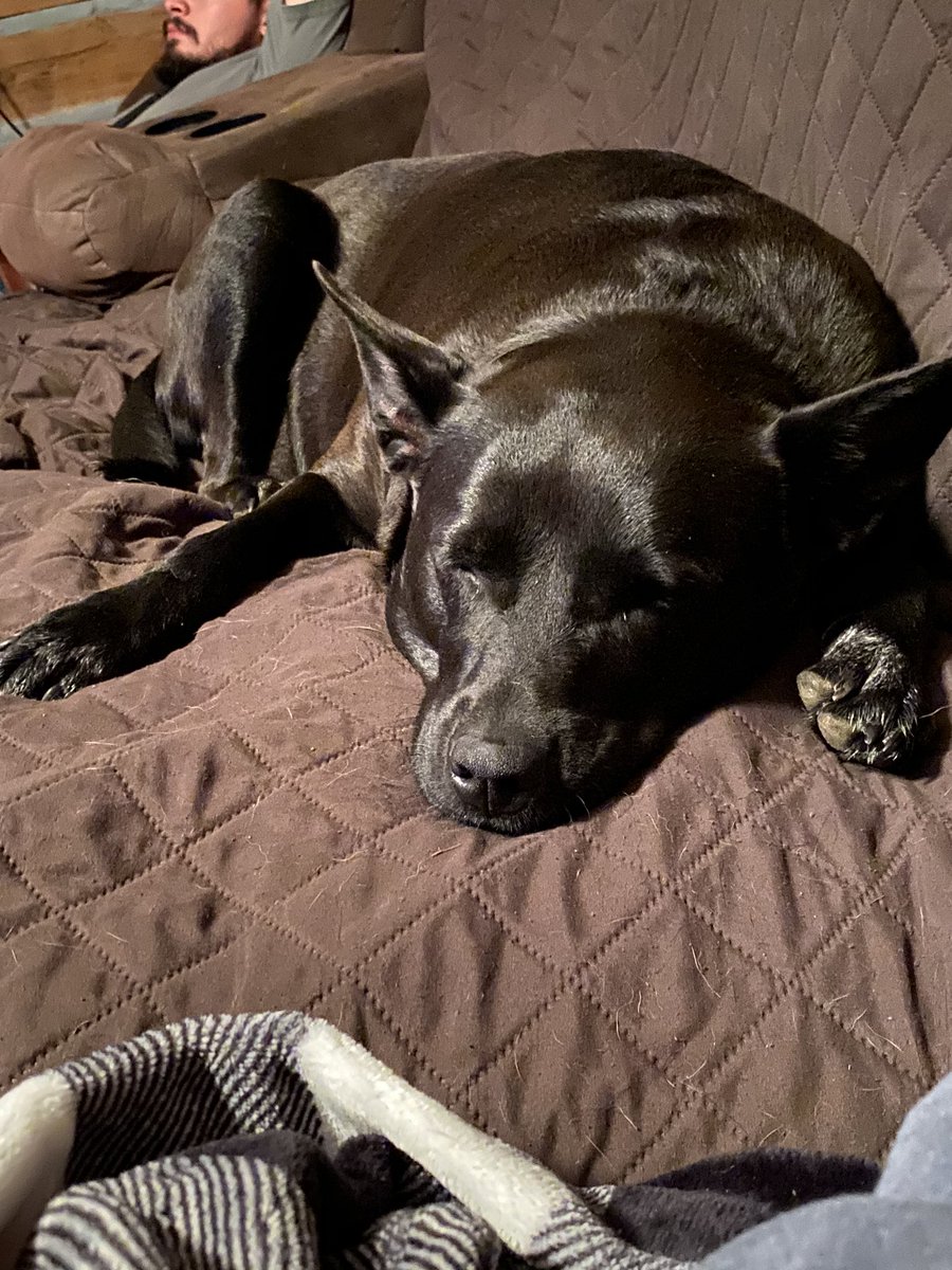 HayleyDLafferty's tweet image. How it                              How it’s             started:                             going: