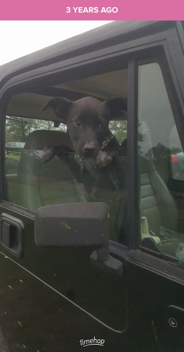 HayleyDLafferty's tweet image. How it                              How it’s             started:                             going: