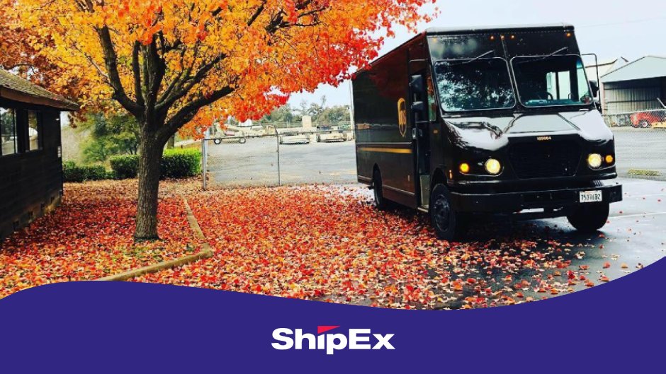 ShipExCZ tweet picture