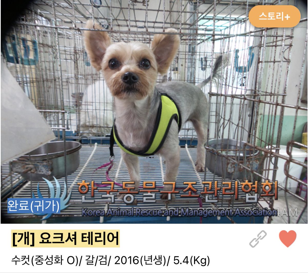 _dearMarch's tweet image. 마자 넘 늦게 말씀드려서 죄송해요... 이때 만났던 아기 저번주에 집으로 돌아갔다고 해요 소식 듣고 안심하고 현생사느라 이제서야... 올리네요.. 주변에 퍼뜨리고 도움의 손길 주셔서 감사했어요 ㅠㅡㅠ