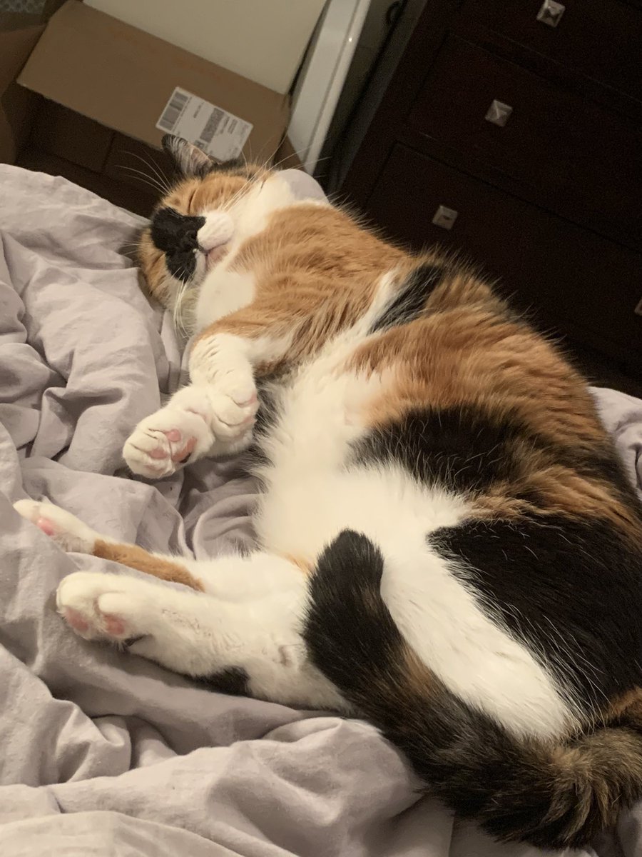 Adrianne tweet media