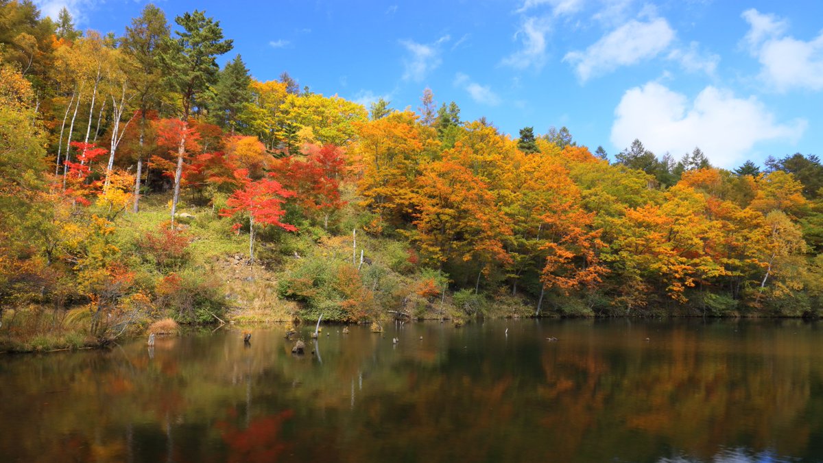 滝 山岳写真 自然風景 遊亀湖の紅葉 遊亀湖 八千穂高原自然園 秋の思い出 写真 風景写真 紅葉風景 紅葉の有る景色 Twitterで写真 フォロー返し 相互フォロー 相互フォローの輪 写真好きの人と繋がりたい ファインダー越しの私の世界 T