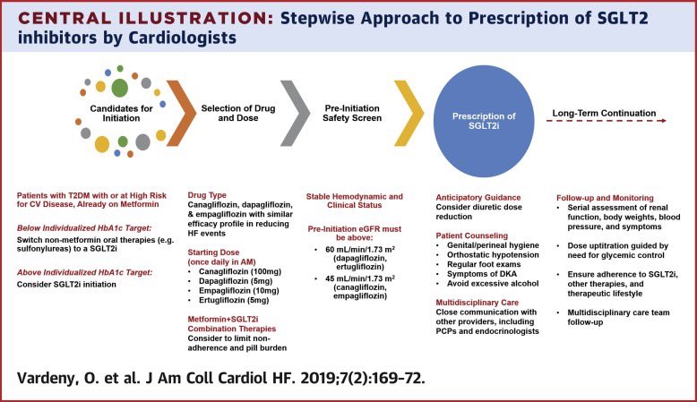SABOURETCardio's tweet photo. 2 figures about #SGLT2i #cardiotwitter https://t.co/JiqSEyYMLA