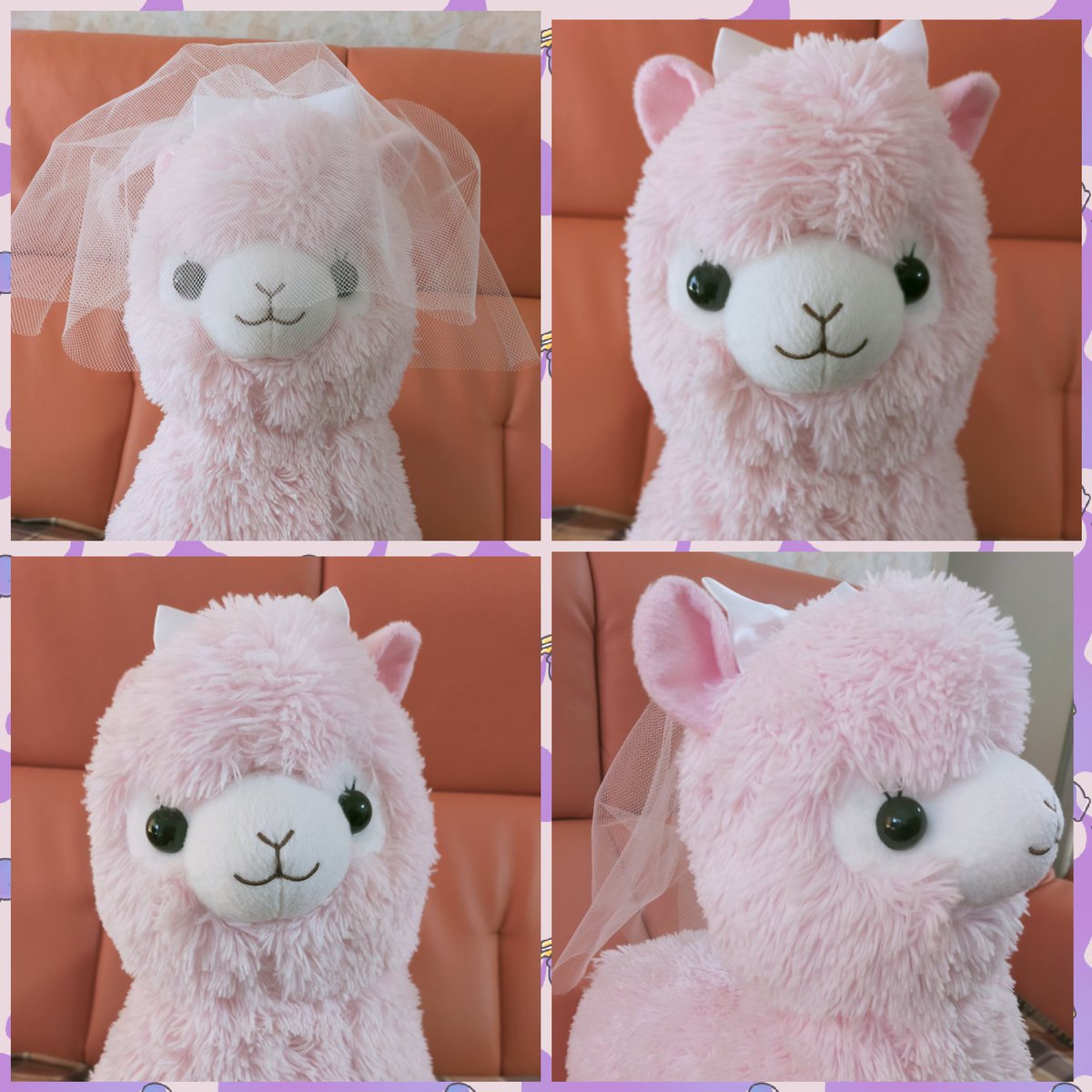 Aika 実家に帰ったら 可愛い子ちゃん発見っ もちろんお持ち帰りしました 女のコ可愛いぃ でも ハルトってアルパカ ラマ どっちなんだろう Treasure ハルト Treasuremembers Aika 実家に帰ったら 可愛い子ちゃん発見っ もちろんお持ち帰りしました 女のコ可愛いぃ でも ハルトってアルパカ ラマ どっちなんだろう Treasure ハルト Treasuremembers