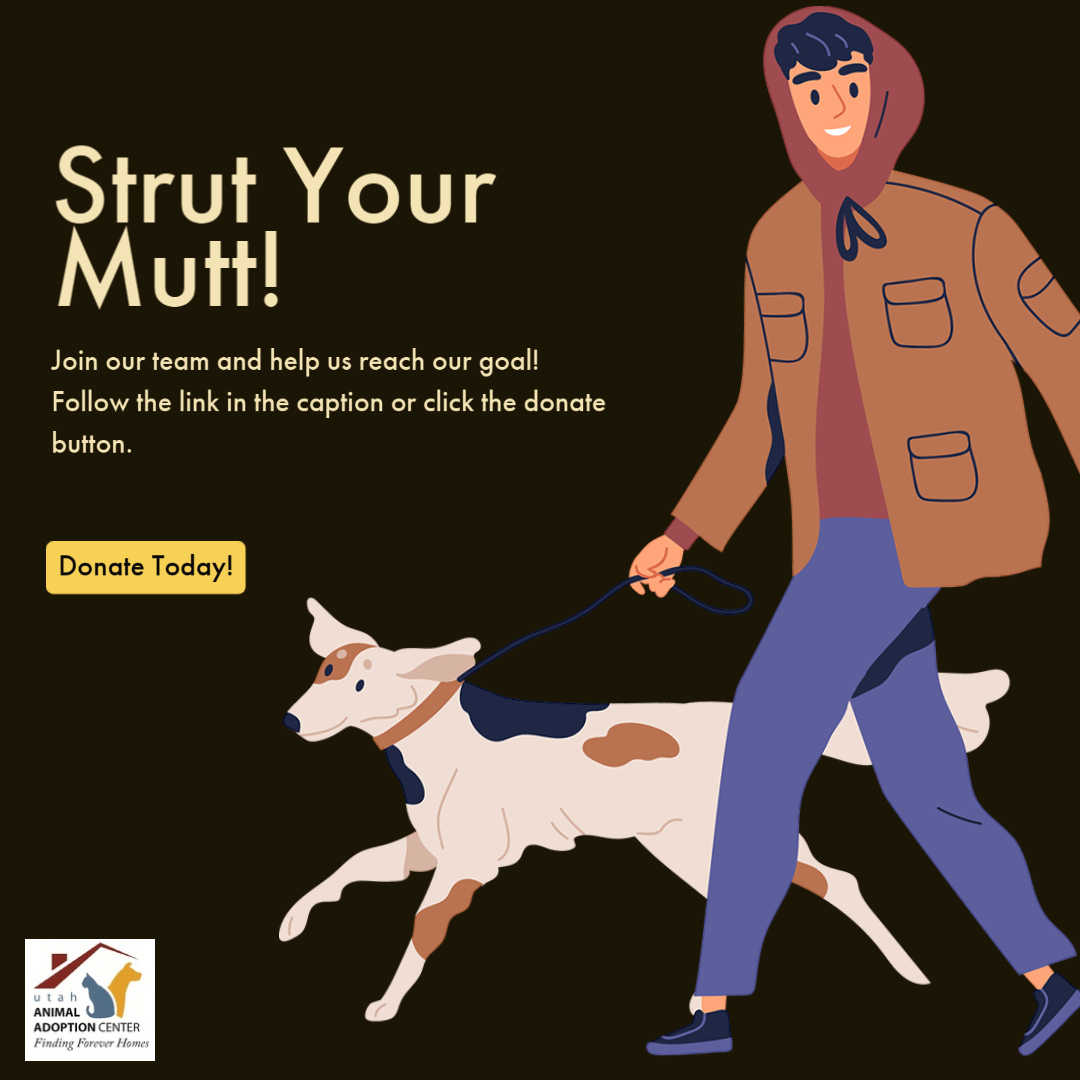 Thank you for the donations we've received to date. We've raised $750 so far, which is wonderful! But we know we can raise more. That's where you come in!

Join our team and donate!
support.bestfriends.org/site/TR/SYM202…

#utahanimals #bestfriends #strutyourmutt