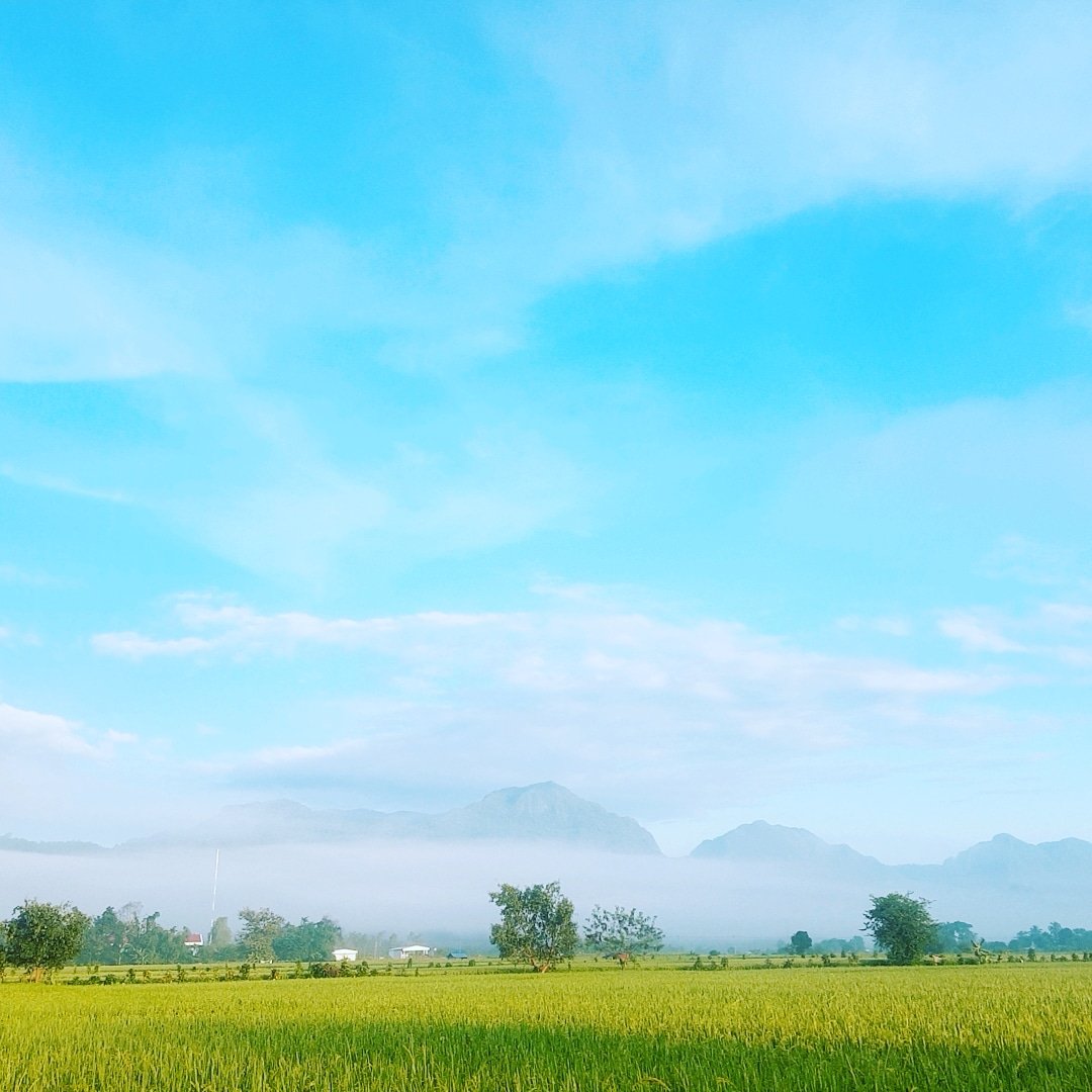 AWoimaeku's tweet photo. #Myhome https://t.co/mayzsrpIAT