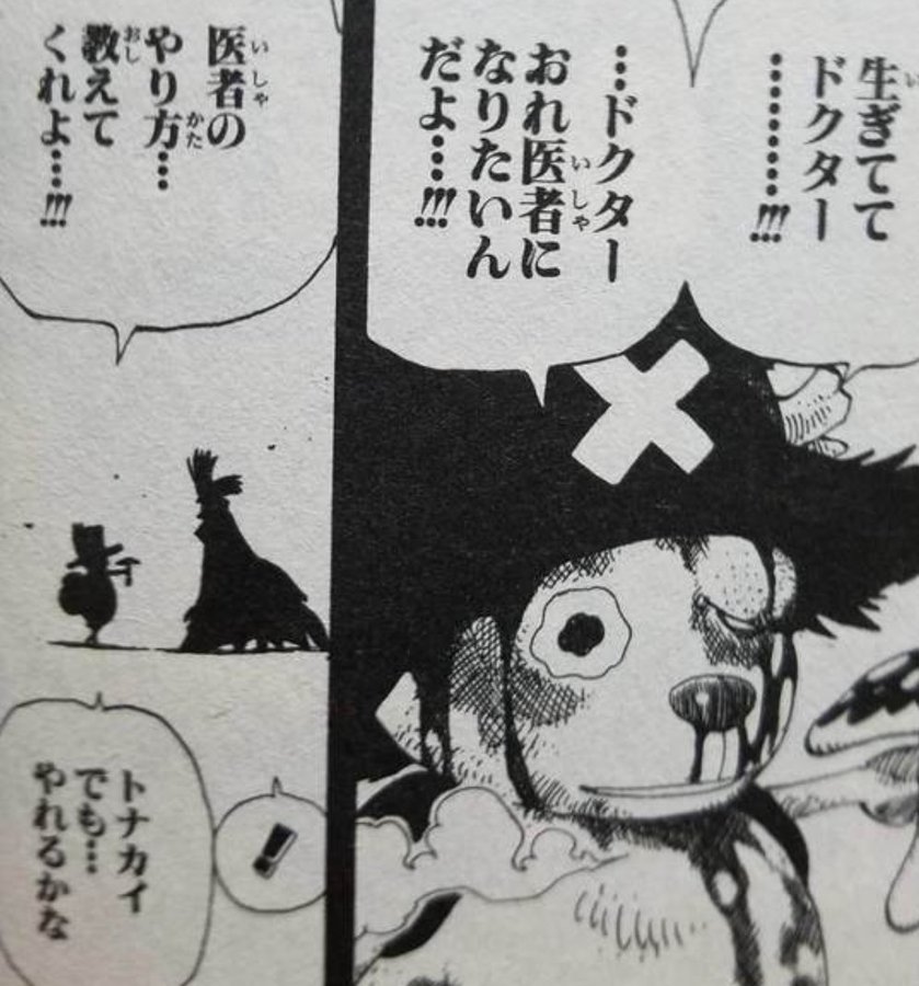 ワンピース チョッパーとヒルルクの関係を考察 過去や出会いを紹介 2ページ目 Selvy