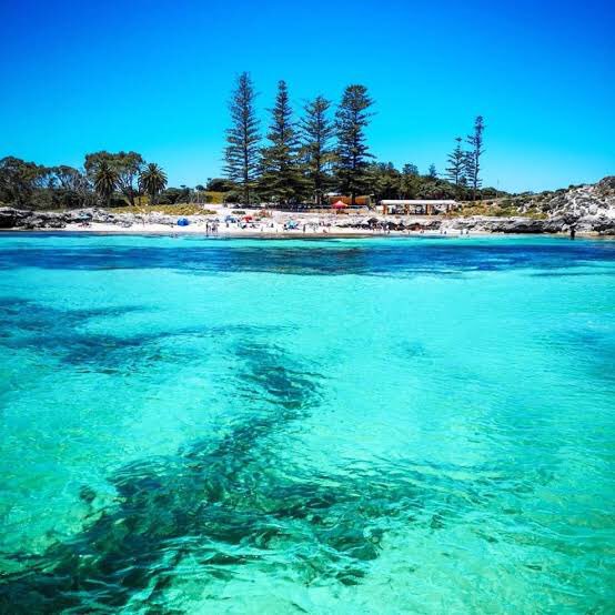 - it’s almost summer here so you can spend some time at Rottnest Island (the only place in the world that has quokkas)