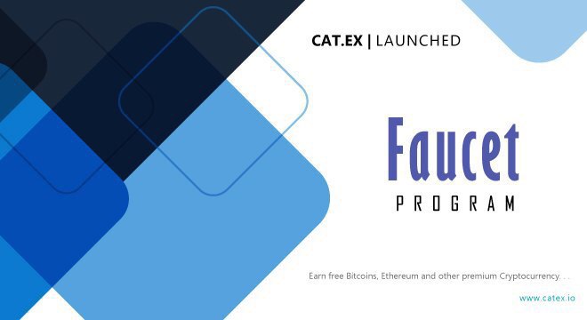 Catex Exchange tweet media