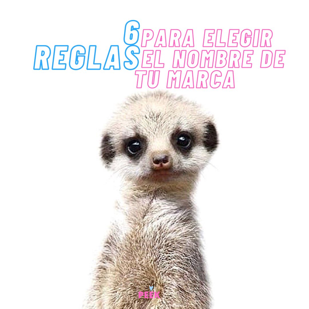 estudiopeek's tweet photo. #nombredemarca #emprendedores 
1/2 https://t.co/eBJ2dOdCq0