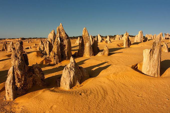 - if u head north you can go to the pinnacles and go sand boarding in the sand dunes  and check out the all the kangaroos