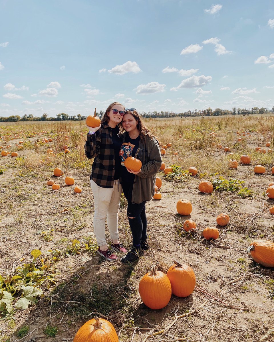 Look at this punkin’