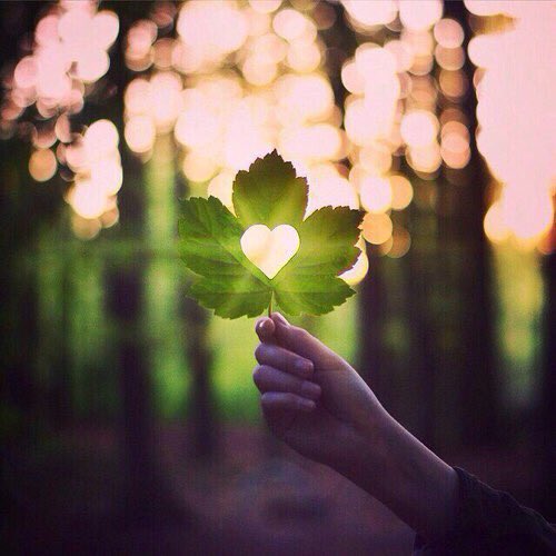 ﷽
(فسبح باسم ربك العظيم)

❖سُــبـــحَــان الـلـه وَ بِــحَــمْـــدِه❖
❖سُـــبــحَــانَ الـلـه  الـعَــظِــيْـــمْ❖