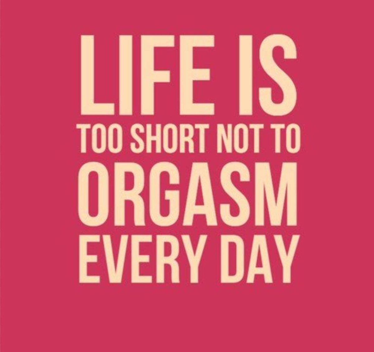 ChestSarah's tweet image. You deserve to have the Big O every day.