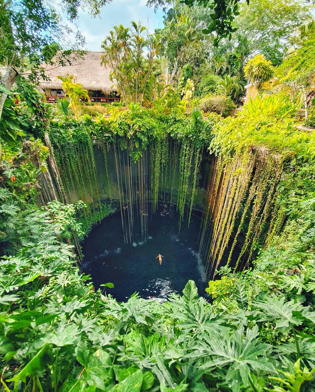 絶景事典 公式 天井が丸くぽっかり開いた水深40mの地底湖 植物の根がカーテンのように垂れ下がり 幻想的な雰囲気をかもしだす メキシコの セノーテ イキル Via T Co Ta9uqryyap 絶景事典 絶景 セノーテイキル メキシコ T Co