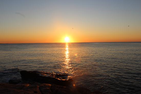 PakDigitalZone's tweet image. 