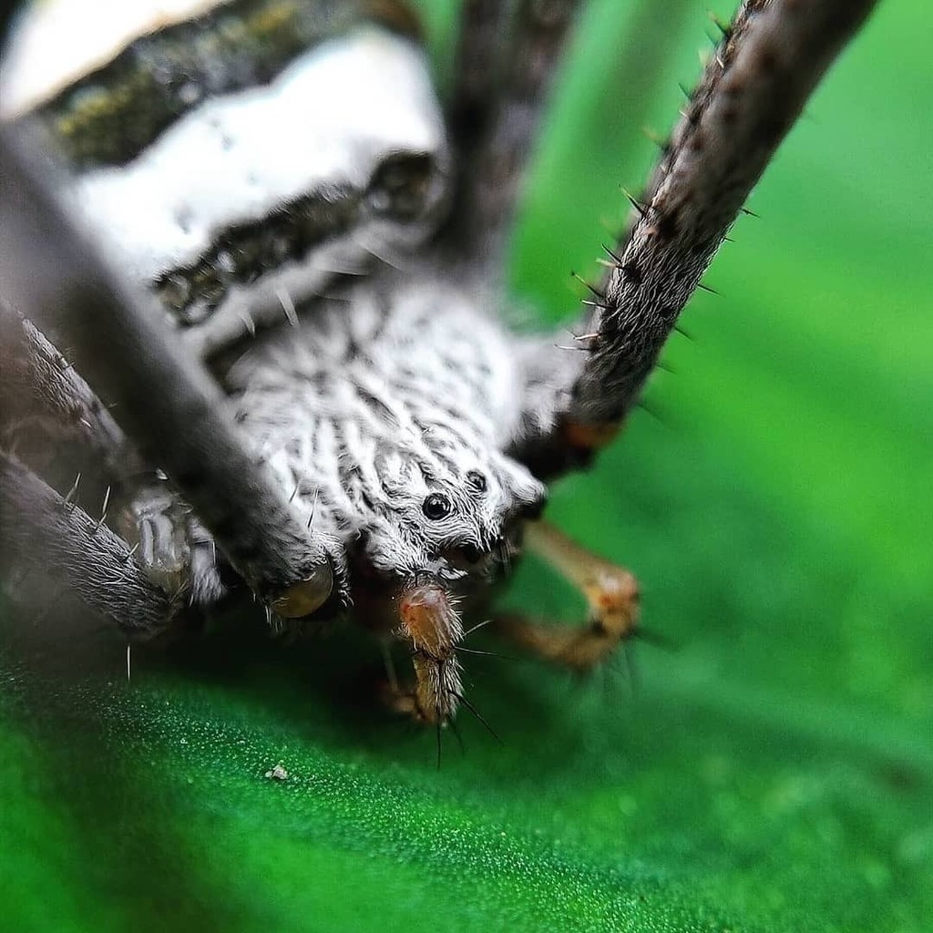 apexelindia's tweet photo. Amazing Shot by @yusufar_photography__ through Apexel 12x24x Macro Lens ❤️
______
Price: Rs. 999
Buy: https://t.co/tKko18JB1T
______
Tags:
#poco #pocof1 #realme #realme3pro #mia2 #redmi6 #redmi6pro #mimix #mimix2 #mimix3 #redmi5 #redmi4 #redminote7pro… https://t.co/znyQdxbXtx https://t.co/tEv2C9dd31