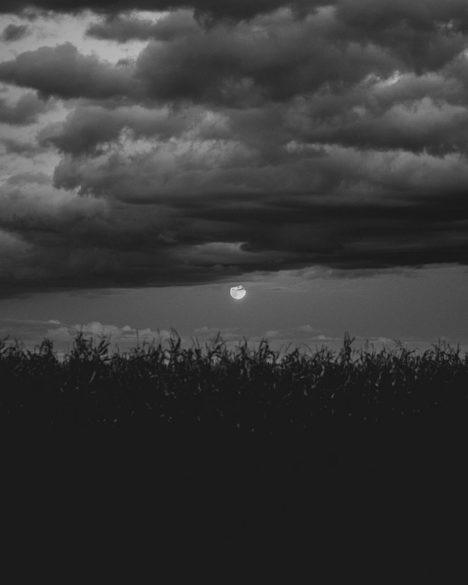 I hope I get better one day.