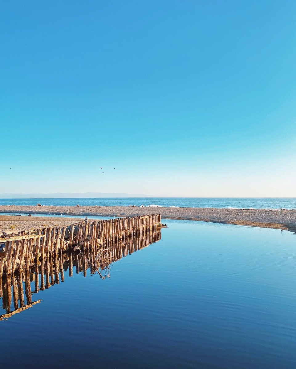 Late afternoon walk 🌊🏖🌿⁣
⁣
#aptos #seacliff #seacliffbeach #seacliffstatebeach #riodelmarbeach #riodelmar #santacruz