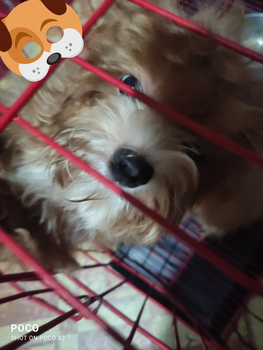 Rosemlvr's tweet image. Ingay mo kasi nagalit tuloy si maam G 😂