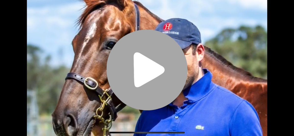 An inside into our Ready2Race <a href="/inglis_sales/">Inglis</a> preparation.

Our draft is representing 10 impressive sites standing at stud🐎

#STARWITNESS
#DEEPFIELD
#WINNINGRUPERT
#STARTURN
#PRIDEOFDUBAI
#XTRAVAGANT
#SOOBOOG
#ODYSSEYMOON
#STARCRAFT
#ASTERN

🎥youtu.be/1y24dYn6IJg

<a href="/CaroSearcc/">Caroline</a>